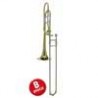 Stewart Ellis B/SE2920L-01 | Casa Abreu - Loja de Instrumentos Musicais