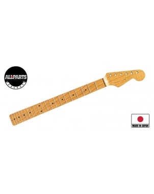 Allparts SMOFATRF | Casa Abreu - Loja de Instrumentos Musicais