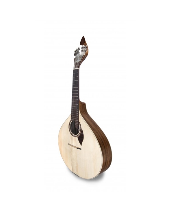 GUITARRA FADO COIMBRA APC GF310 CB | Casa Abreu - Loja de Instrumentos Musicais