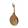 GUITARRA FADO COIMBRA APC GF310 CB | Casa Abreu - Loja de Instrumentos Musicais