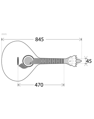 GUITARRA FADO COIMBRA APC GF310 CB | Casa Abreu - Loja de Instrumentos Musicais
