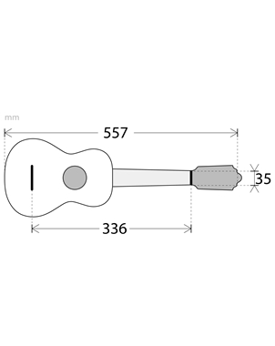 CAVAQUINHO APC 101 | Casa Abreu - Loja de Instrumentos Musicais
