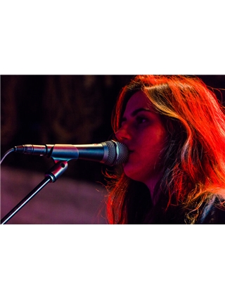 MICROFONE SE ELECTRONICS V7 | Casa Abreu - Loja de Instrumentos Musicais