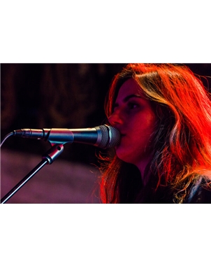 MICROFONE SE ELECTRONICS V7 | Casa Abreu - Loja de Instrumentos Musicais