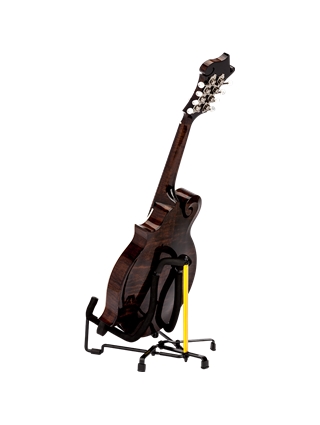 SUPORTE INSTRUMENTOS TRADICIONAIS HERCULES GS303B | Casa Abreu - Loja de Instrumentos Musicais