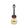 CAVAQUINHO APC108 LUXO PAU SANTO ES | Casa Abreu - Loja de Instrumentos Musicais