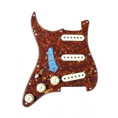 Fender Outlet  63528000 | Casa Abreu - Loja de Instrumentos Musicais