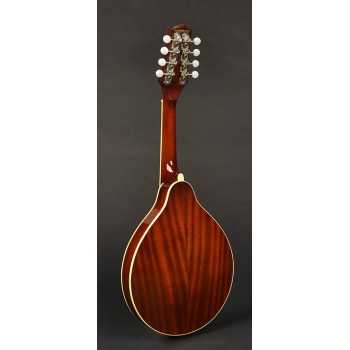 Richwood RMA-60-VS | Casa Abreu - Loja de Instrumentos Musicais