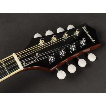 Richwood RMA-60-VS | Casa Abreu - Loja de Instrumentos Musicais