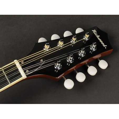 Richwood RMA-60-VS | Casa Abreu - Loja de Instrumentos Musicais