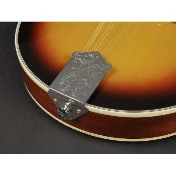 Richwood RMA-60-VS | Casa Abreu - Loja de Instrumentos Musicais