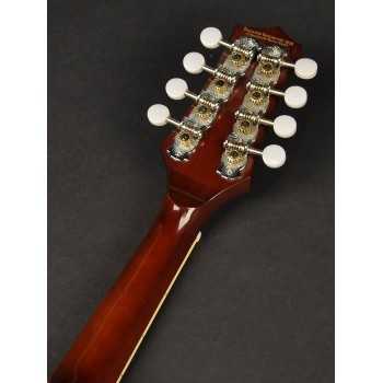 Richwood RMA-60-VS | Casa Abreu - Loja de Instrumentos Musicais