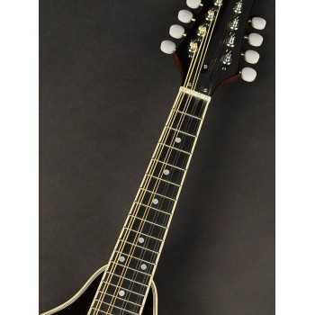 Richwood RMA-60-VS | Casa Abreu - Loja de Instrumentos Musicais