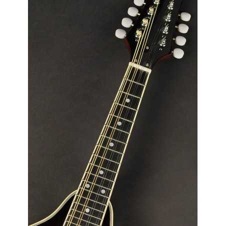 Richwood RMA-60-VS | Casa Abreu - Loja de Instrumentos Musicais