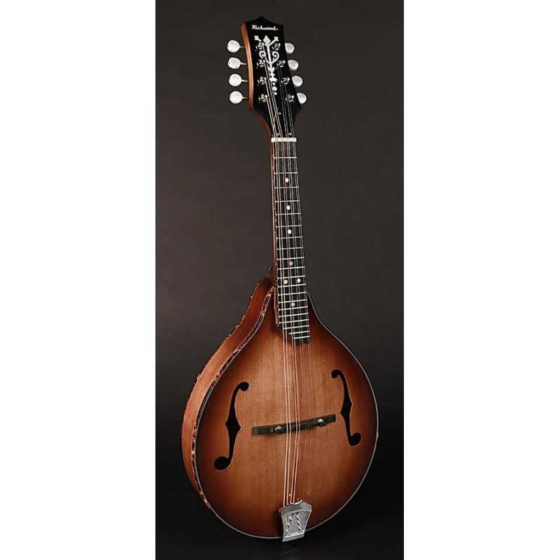 Richwood RMA-90-NT | Casa Abreu - Loja de Instrumentos Musicais