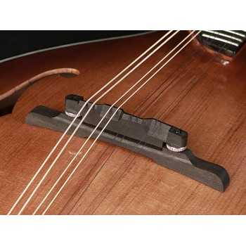 Richwood RMA-90-NT | Casa Abreu - Loja de Instrumentos Musicais