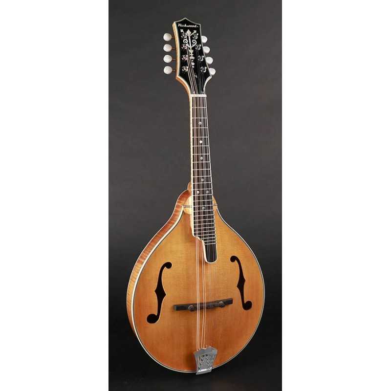 Richwood RMA-110-VS | Casa Abreu - Loja de Instrumentos Musicais