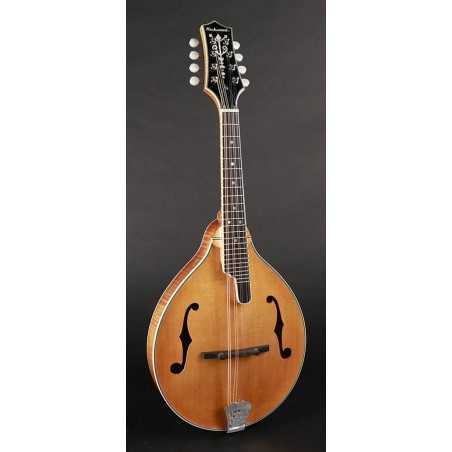 Richwood RMA-110-VS | Casa Abreu - Loja de Instrumentos Musicais