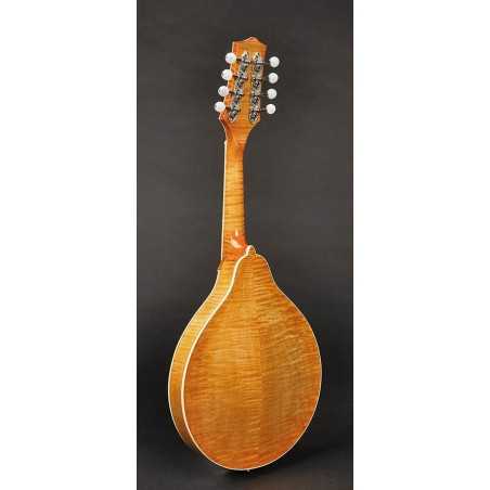 Richwood RMA-110-VS | Casa Abreu - Loja de Instrumentos Musicais