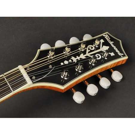 Richwood RMA-110-VS | Casa Abreu - Loja de Instrumentos Musicais