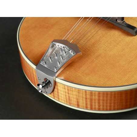 Richwood RMA-110-VS | Casa Abreu - Loja de Instrumentos Musicais