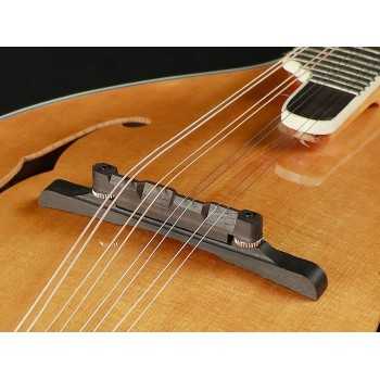 Richwood RMA-110-VS | Casa Abreu - Loja de Instrumentos Musicais