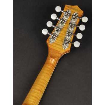 Richwood RMA-110-VS | Casa Abreu - Loja de Instrumentos Musicais