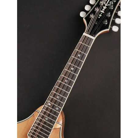 Richwood RMA-110-VS | Casa Abreu - Loja de Instrumentos Musicais