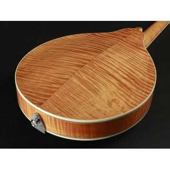 Richwood RMA-110-VS | Casa Abreu - Loja de Instrumentos Musicais