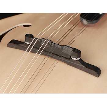 Richwood RMF-80-NT | Casa Abreu - Loja de Instrumentos Musicais