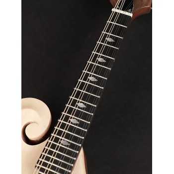 Richwood RMF-80-NT | Casa Abreu - Loja de Instrumentos Musicais