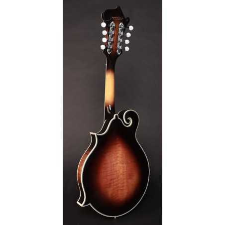 Richwood RMF-100-VS | Casa Abreu - Loja de Instrumentos Musicais