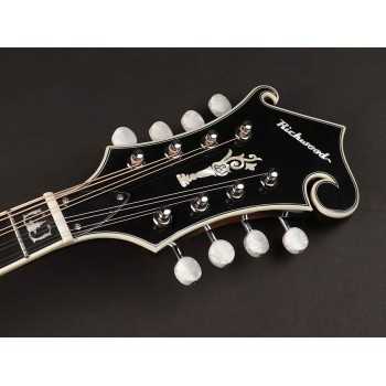 Richwood RMF-100-VS | Casa Abreu - Loja de Instrumentos Musicais