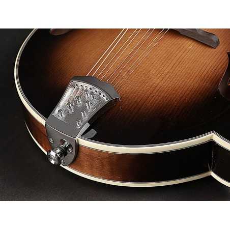 Richwood RMF-100-VS | Casa Abreu - Loja de Instrumentos Musicais