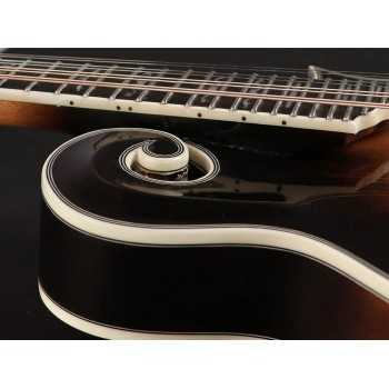 Richwood RMF-100-VS | Casa Abreu - Loja de Instrumentos Musicais