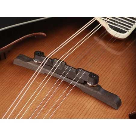 Richwood RMF-100-VS | Casa Abreu - Loja de Instrumentos Musicais