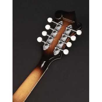 Richwood RMF-100-VS | Casa Abreu - Loja de Instrumentos Musicais