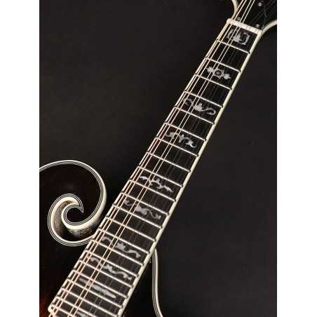 Richwood RMF-100-VS | Casa Abreu - Loja de Instrumentos Musicais