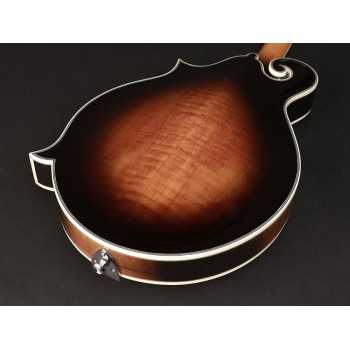 Richwood RMF-100-VS | Casa Abreu - Loja de Instrumentos Musicais