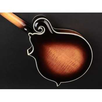 Richwood RMF-100-VS | Casa Abreu - Loja de Instrumentos Musicais