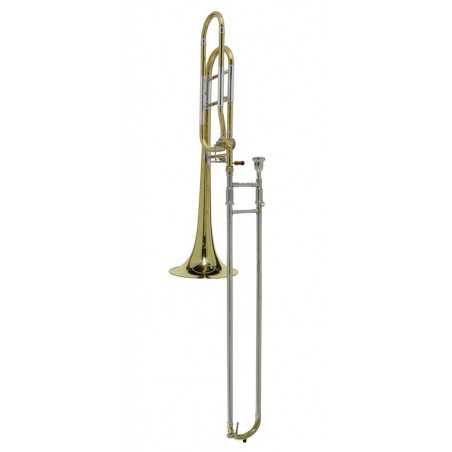 Stewart Ellis SE-2920-L | Casa Abreu - Loja de Instrumentos Musicais