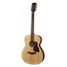 Richwood A-20 | Casa Abreu - Loja de Instrumentos Musicais