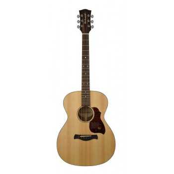 Richwood A-20 | Casa Abreu - Loja de Instrumentos Musicais