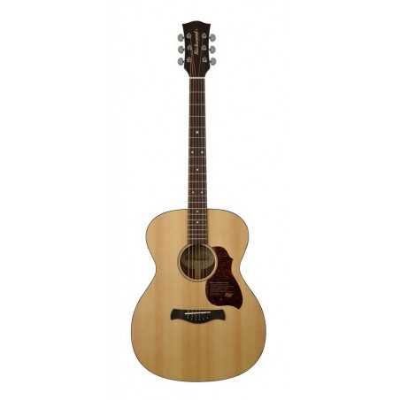 Richwood A-20 | Casa Abreu - Loja de Instrumentos Musicais
