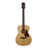 Richwood A-20 | Casa Abreu - Loja de Instrumentos Musicais