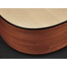 Richwood A-20 | Casa Abreu - Loja de Instrumentos Musicais