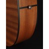 Richwood A-20 | Casa Abreu - Loja de Instrumentos Musicais