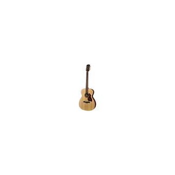 Richwood A-20 | Casa Abreu - Loja de Instrumentos Musicais