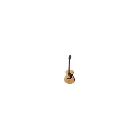 Richwood A-20 | Casa Abreu - Loja de Instrumentos Musicais