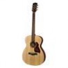 Richwood A-20 | Casa Abreu - Loja de Instrumentos Musicais